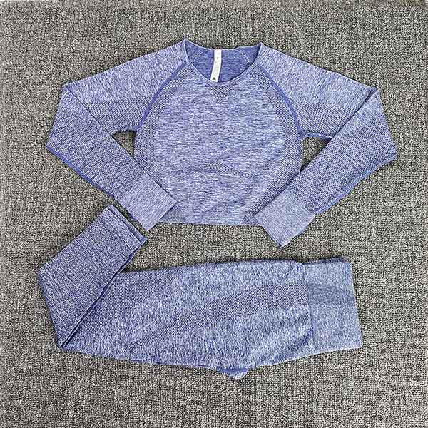 Seamless Gym Clothing Women Yoga Set Fitness Suit Workout Sets Yoga Suit Women Fitness Set Women Women&#39;s Sportswear Suit