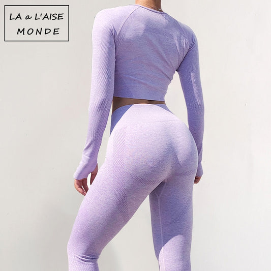 Seamless Gym Clothing Women Gym Yoga Set Fitness Workout Sets Yoga Top + Athletic Legging Women's Sportswear Suit